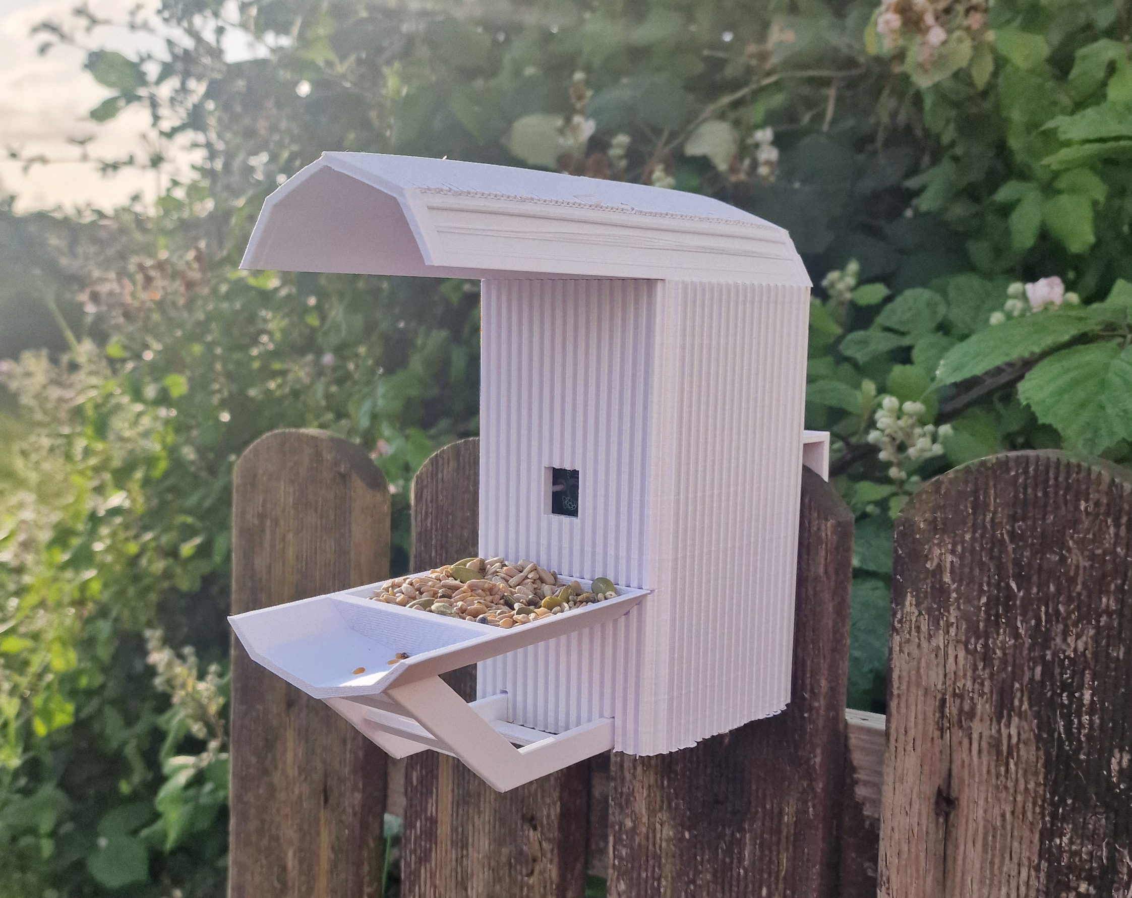 Smart Bird Feeder